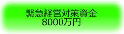 緊急経営対策資金8000万円